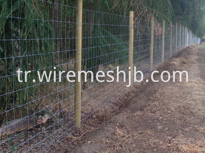 Woven Deer Fence